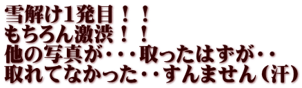 雪解け１発目！！ もちろん激渋！！ 他の写真が・・・取ったはずが・・ 取れてなかった・・すんません（汗）