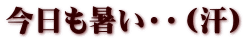 今日も暑い・・（汗）