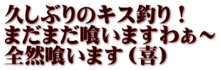 久しぶりのキス釣り！ まだまだ喰いますわぁ～ 全然喰います（喜）