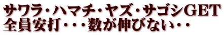 サワラ・ハマチ・ヤズ・サゴシGET 全員安打・・・数が伸びない・・