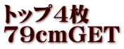 トップ４枚 79cmGET