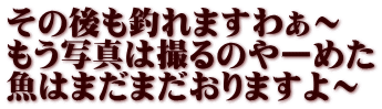 その後も釣れますわぁ～ もう写真は撮るのやーめた 魚はまだまだおりますよ～