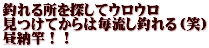 釣れる所を探してウロウロ 見つけてからは毎流し釣れる（笑） 昼納竿！！