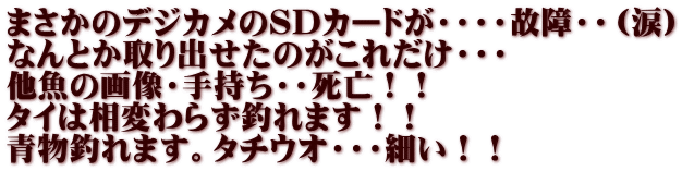 まさかのデジカメのSDカードが・・・・故障・・（涙） なんとか取り出せたのがこれだけ・・・ 他魚の画像・手持ち・・死亡！！ タイは相変わらず釣れます！！ 青物釣れます。タチウオ・・・細い！！