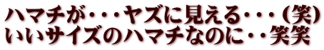 ハマチが・・・ヤズに見える・・・（笑） いいサイズのハマチなのに・・笑笑