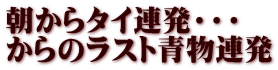 朝からタイ連発・・・ からのラスト青物連発