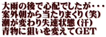 大雨の後で心配でしたが・・・ 案外朝から当たりまくり（笑） 潮が変わり失速状態（汗） 青物に狙いを変えてGET