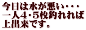 今日は水が悪い・・・ 一人４・５枚釣れれば 上出来です。