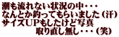 潮も流れない状況の中・・・ なんとか釣ってもらいました（汗） サイズUPもしたけど写真 　　　　取り直し無し・・・（笑） 