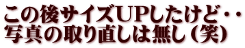この後サイズUPしたけど・・ 写真の取り直しは無し（笑）