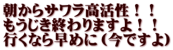 朝からサワラ高活性！！ もうじき終わりますよ！！ 行くなら早めに（今ですよ）
