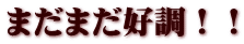 まだまだ好調！！