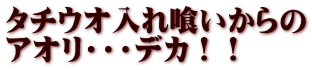 タチウオ入れ喰いからの アオリ・・・デカ！！