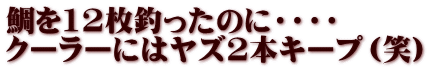 鯛を12枚釣ったのに・・・・ クーラーにはヤズ2本キープ（笑）