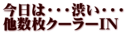 今日は・・・渋い・・・ 他数枚クーラーIN