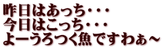 昨日はあっち・・・ 今日はこっち・・・ よーうろつく魚ですわぁ～