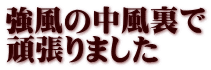 強風の中風裏で 頑張りました