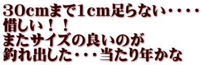 30ｃｍまで1ｃｍ足らない・・・・ 惜しい！！ またサイズの良いのが 釣れ出した・・・当たり年かな
