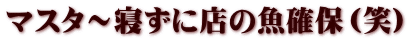 マスタ～寝ずに店の魚確保（笑）