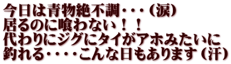 今日は青物絶不調・・・（涙） 居るのに喰わない！！ 代わりにジグにタイがアホみたいに 釣れる・・・・こんな日もあります（汗）