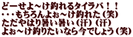 どーせよ～け釣れるタイラバ！！ ・・・もちろんよぉ～け釣れた（笑） ただやはり暑い暑い（汗）（汗） よぉ～け釣りたいなら今でしょう（笑）