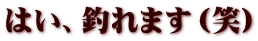 はい、釣れます（笑）