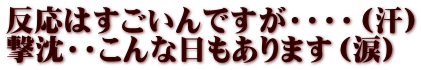 反応はすごいんですが・・・・（汗） 撃沈・・こんな日もあります（涙）