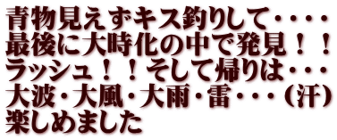 青物見えずキス釣りして・・・・ 最後に大時化の中で発見！！ ラッシュ！！そして帰りは・・・ 大波・大風・大雨・雷・・・（汗） 楽しめました