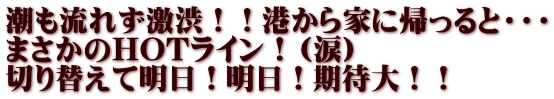 潮も流れず激渋！！港から家に帰っると・・・ まさかのHOTライン！（涙） 切り替えて明日！明日！期待大！！