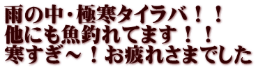 雨の中・極寒タイラバ！！ 他にも魚釣れてます！！ 寒すぎ～！お疲れさまでした