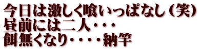 今日は激しく喰いっぱなし（笑） 昼前には二人・・・ 餌無くなり・・・・納竿 