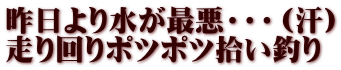 昨日より水が最悪・・・（汗） 走り回りポツポツ拾い釣り