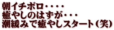 朝イチポロ・・・・ 癒やしのはずが・・・ 潮緩みで癒やしスタート（笑）