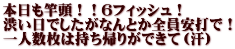 本日も竿頭！！６フィッシュ！ 渋い日でしたがなんとか全員安打で！ 一人数枚は持ち帰りができて（汗）