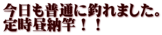 今日も普通に釣れました。 定時昼納竿！！