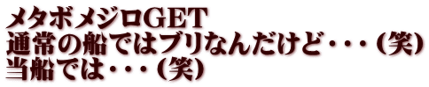 メタボメジロGET 通常の船ではブリなんだけど・・・（笑） 当船では・・・（笑）