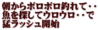 朝からポロポロ釣れて・・ 魚を探してウロウロ・・で 猛ラッシュ開始