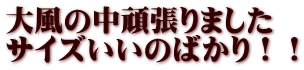 大風の中頑張りました サイズいいのばかり！！