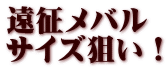 遠征メバル サイズ狙い！