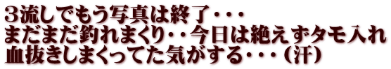 ３流しでもう写真は終了・・・ まだまだ釣れまくり・・今日は絶えずタモ入れ 血抜きしまくってた気がする・・・（汗）
