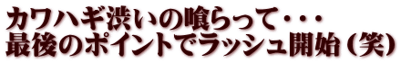 カワハギ渋いの喰らって・・・ 最後のポイントでラッシュ開始（笑）