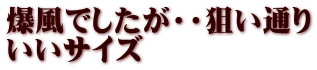 爆風でしたが・・狙い通り いいサイズ