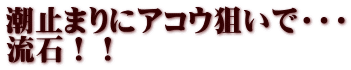 潮止まりにアコウ狙いで・・・ 流石！！