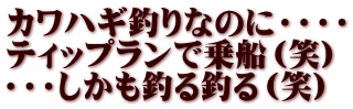 カワハギ釣りなのに・・・・ ティップランで乗船（笑） ・・・しかも釣る釣る（笑）