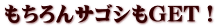 もちろんサゴシもGET！