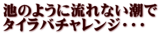 池のように流れない潮で タイラバチャレンジ・・・