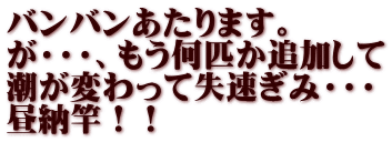 バンバンあたります。 が・・・、もう何匹か追加して 潮が変わって失速ぎみ・・・ 昼納竿！！