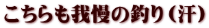 こちらも我慢の釣り（汗）