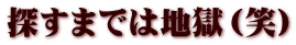 探すまでは地獄（笑）