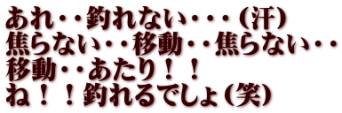 あれ・・釣れない・・・（汗） 焦らない・・移動・・焦らない・・ 移動・・あたり！！ ね！！釣れるでしょ（笑）